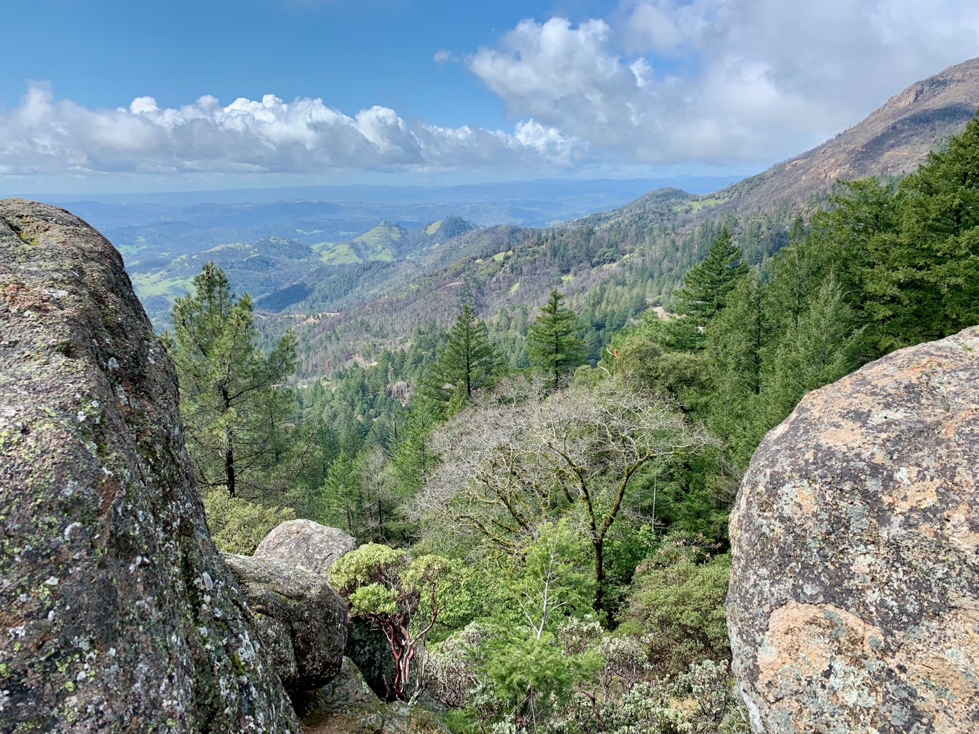Panoramic view of pine-forested mountains and granite boulders in Lake County, California